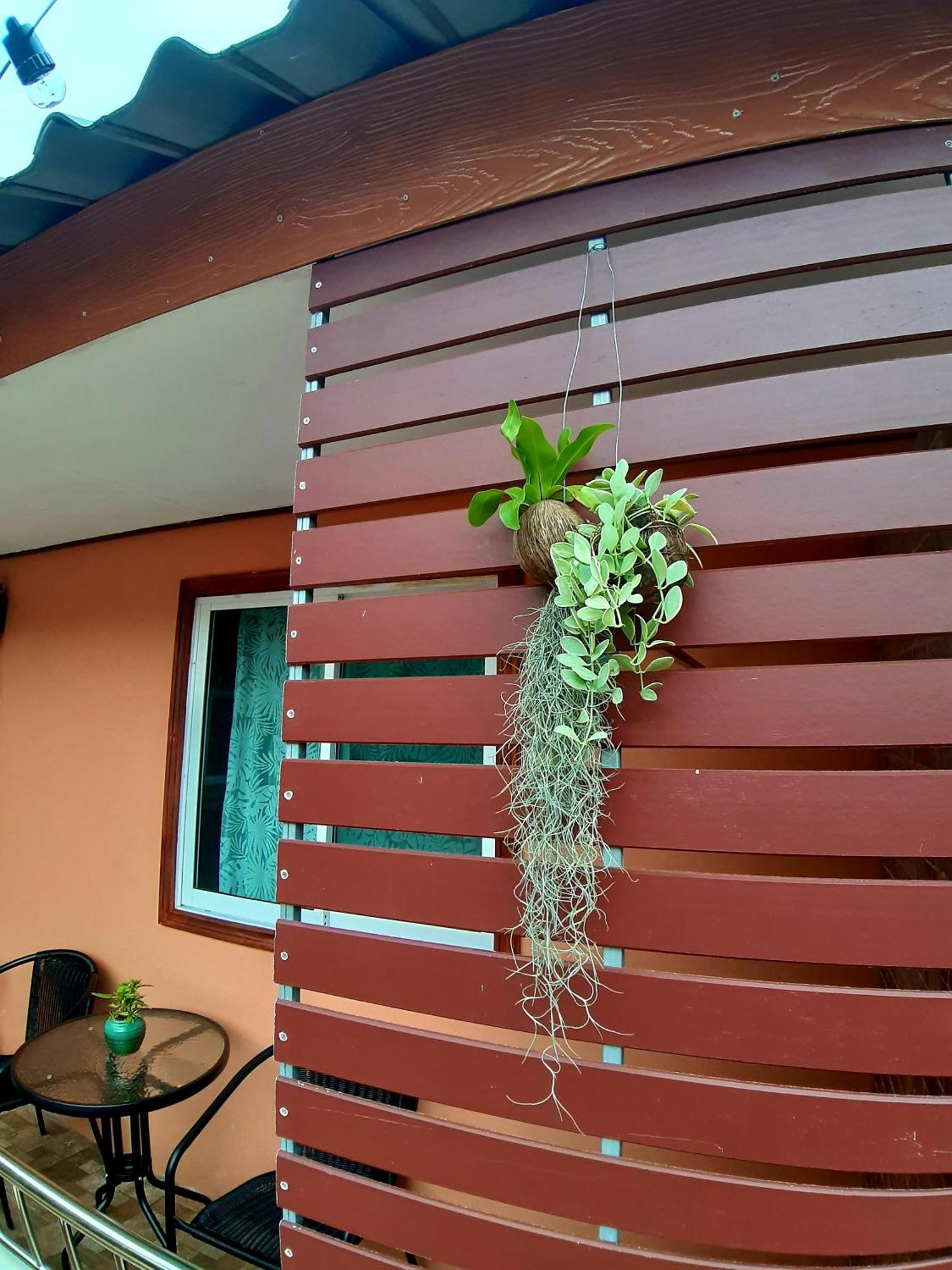 The Windsor Boutique Resort 춤폰 외부 사진